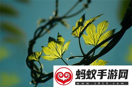 生物老师闵儿用自己给我们讲课