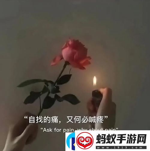 把所有不确定的人归还于人海图片