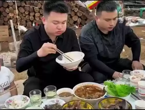 美食达摩阵容