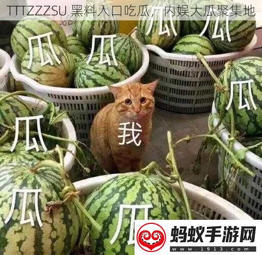 tttzzzsu