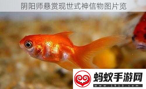 阴阳师悬赏现世式神信物图片览