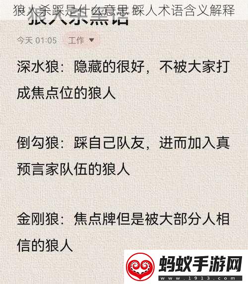 狼人杀踩是什么意思