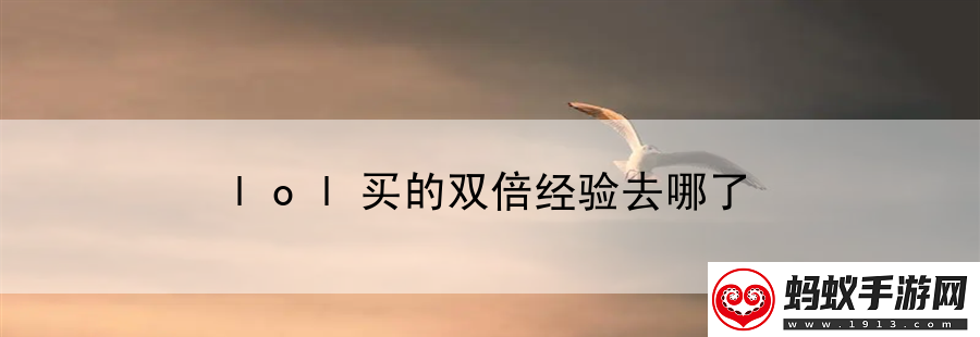 lol买的双倍经验去哪了