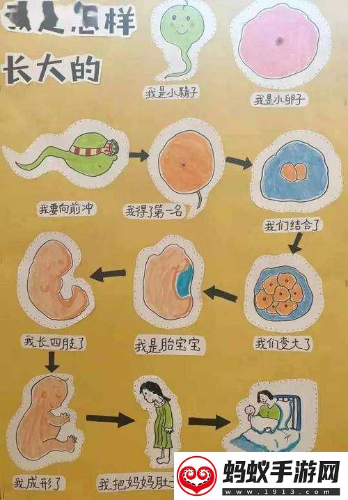 为什么那两瓣长长的垂下来