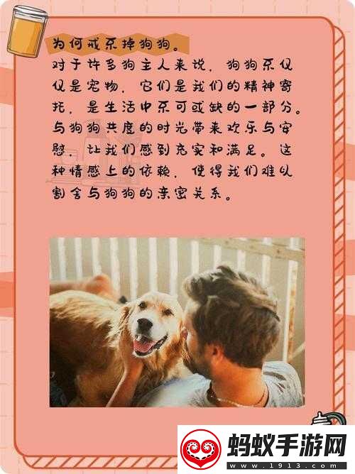 狗狗让我上瘾戒不掉