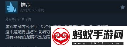 龙腾世纪4steam多半好评dei内容碍眼