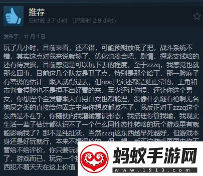 龙腾世纪4steam多半好评dei内容碍眼