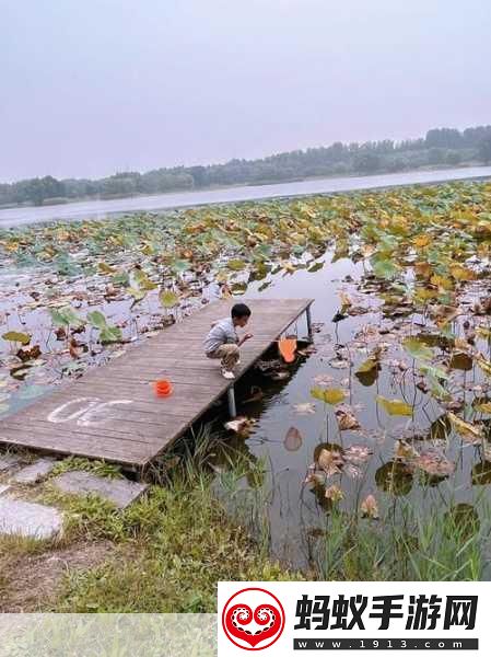 揭秘99无人区码一码二码三1080p不再是梦