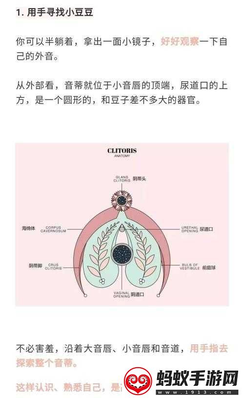 怎么让小豆豆变大的方法