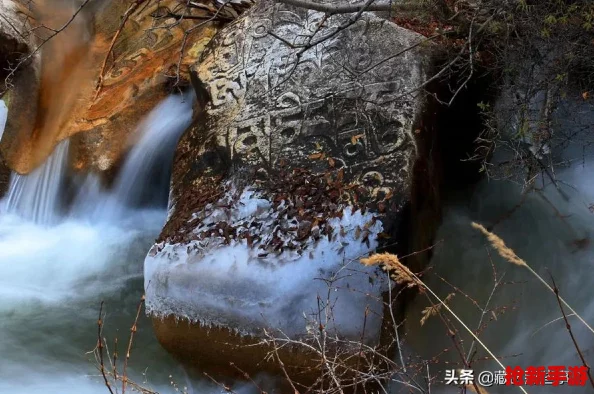 仙境传说重启纪元